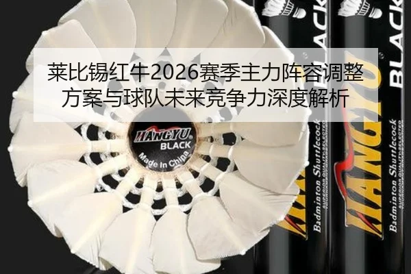 莱比锡红牛2026赛季主力阵容调整方案与球队未来竞争力深度解析